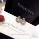 AAA Clone Tiffany 1837 Diamond Earrings - 925 Silver (7)_th.jpg